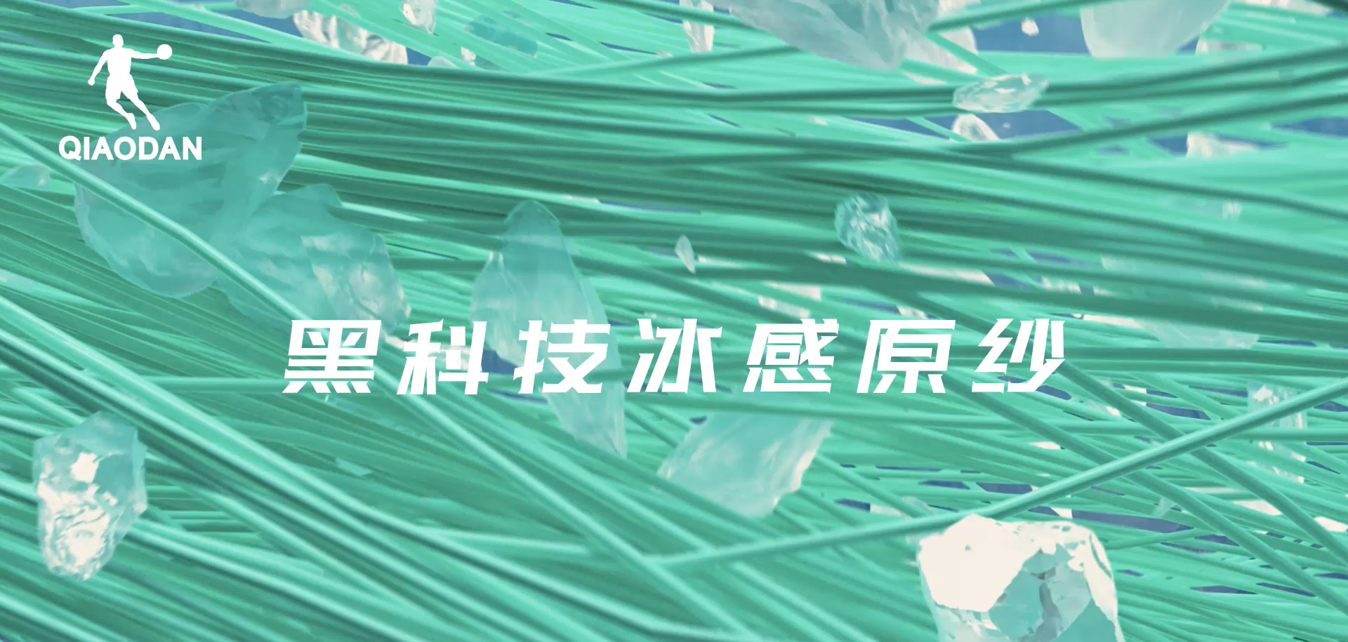 球速体育官方网站图片